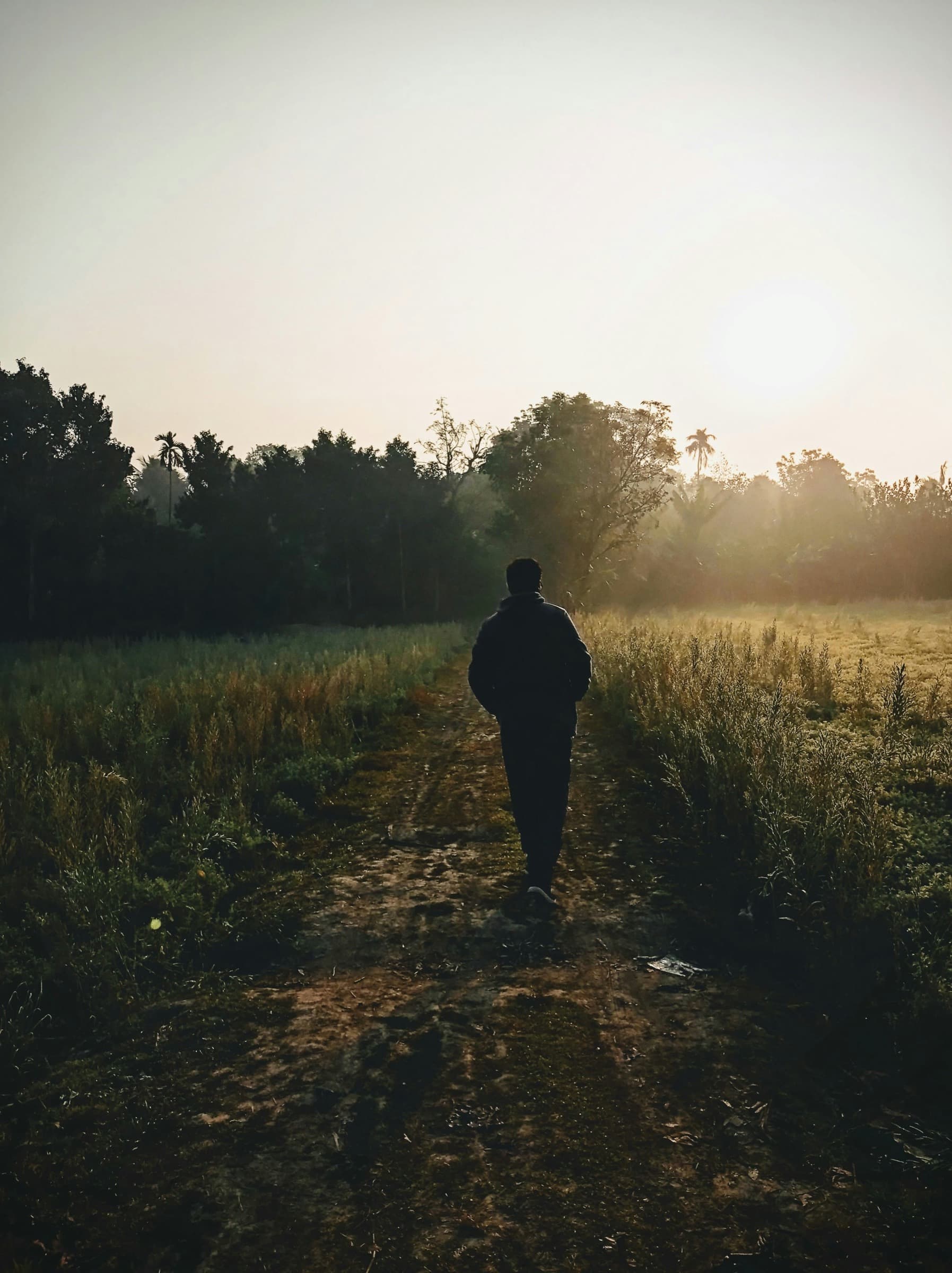 A man walking alone along a dirt path between fields at sunrise